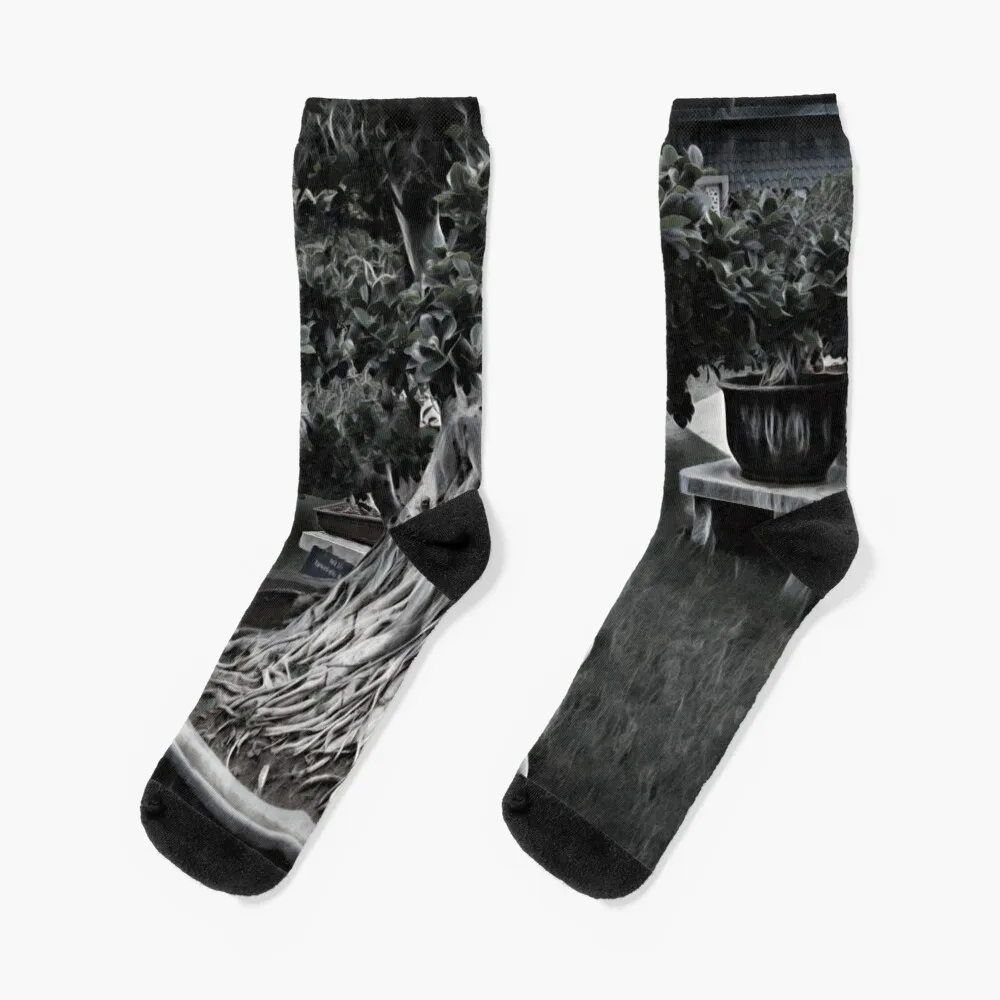 Bonsai Garden Redesigned Socks christmass gift gym hockey Socks Female Men's