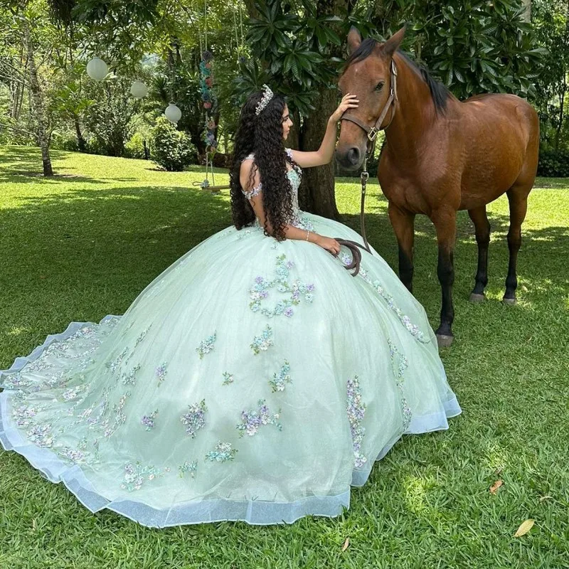 

Sage Green Princess Sweetheart Quinceanera Dresses Ball Gown 3D Flowers Beaded Lace Tulle Prom Dress Puffy Sweet 15 16 Gown