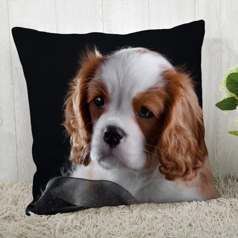 Customize King Charles Spaniel Pillow Case Modern Home Decorative Pillowcase For Living Room 45X45cm A2020.4.29