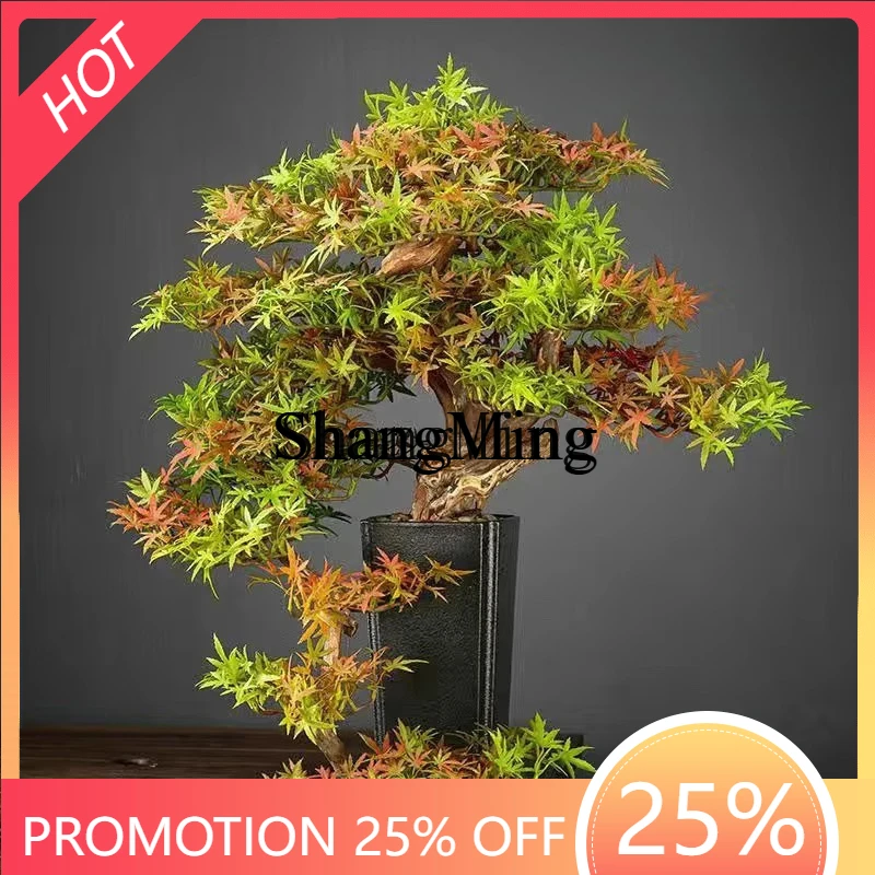 

ZYY Premium Simulated Welcome Pine Solid Wood Green Plant Bonsai Decorative Ornament Chinese Living Room False Tree Bonsai