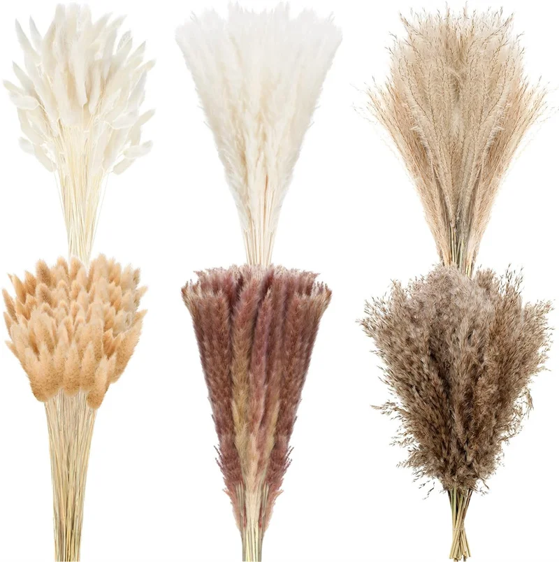 325Pcs Dried Flowers Pampas Mix Bunny Rabbit Tail Grass Bouquet Wedding Party Decor Fluffy Pampa Reeds Wedding Party Decoration