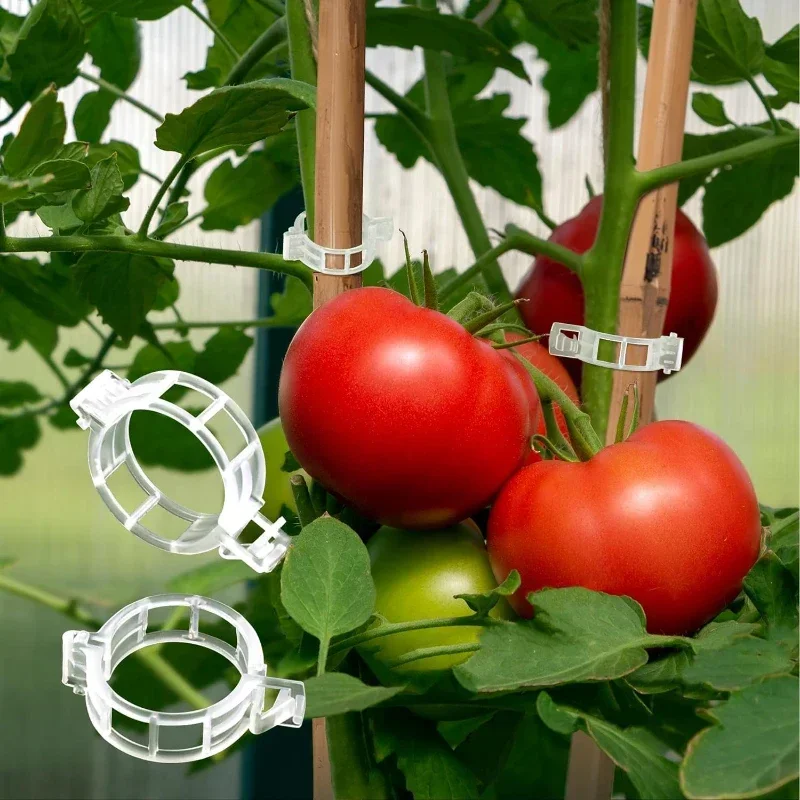 Clips de soporte para plantas reutilizables, conectores de plástico, Clip de tallo de tomate, vid de fijación, injerto de plantas vegetales, herramientas de jardín de huerto