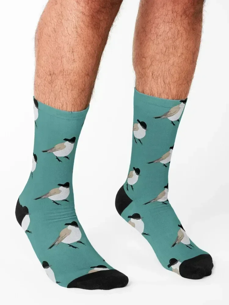Blackcap' - A Derpy Bird Design Socks heated sports and leisure Christmas designer Men Socks Luxury Brand Women's