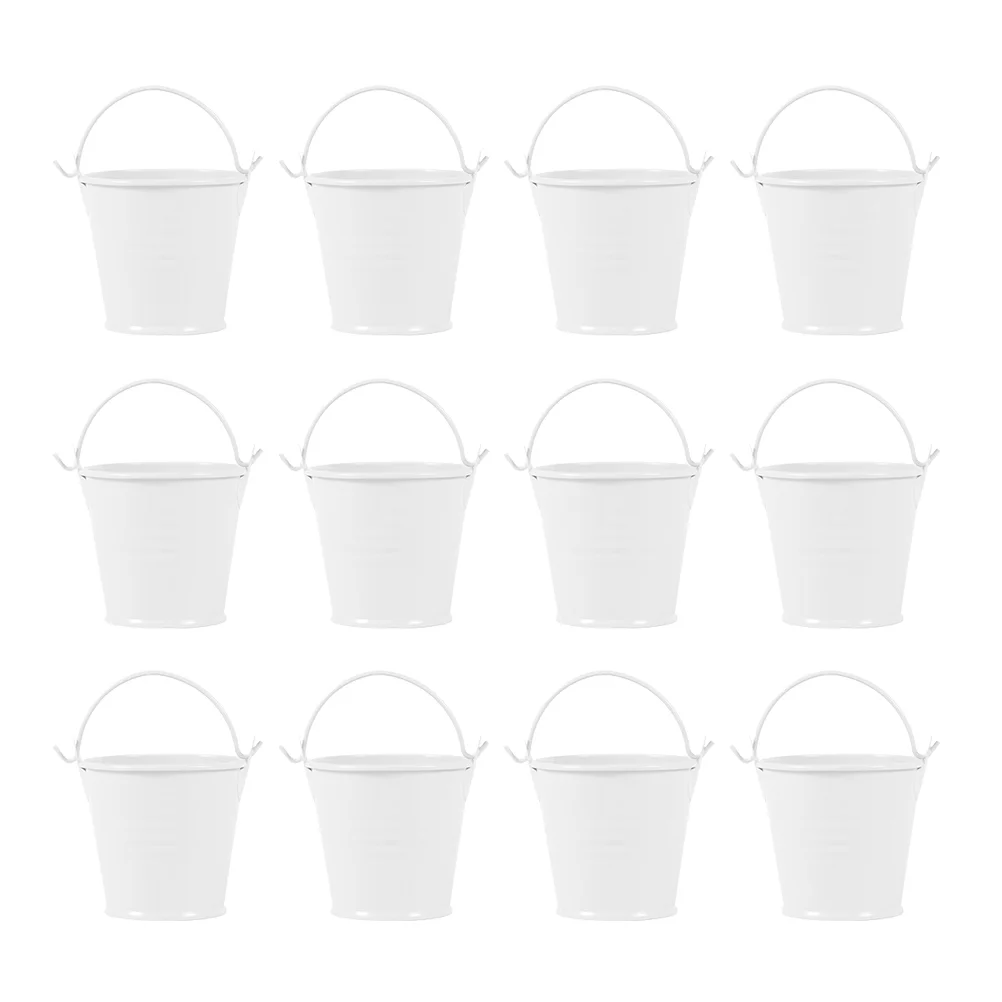 12 Pcs Flower Pots Succulent Planters Small Iron Bucket Mini Plants 620X620X520CM with Handle White Child