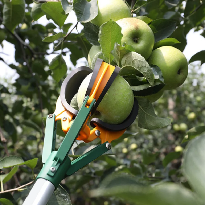 Proszę nie składać zamówienia. Wszystkie produkty w tym linku został wycofane.