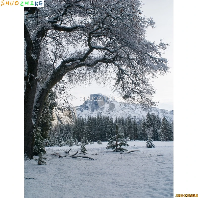 قطرات خلفية للتصوير الفوتوغرافي للغابات الشتوية ، طريق مغطى بالثلوج ، ندف الثلج ، أشجار التنوب ، خلفية الصورة ،