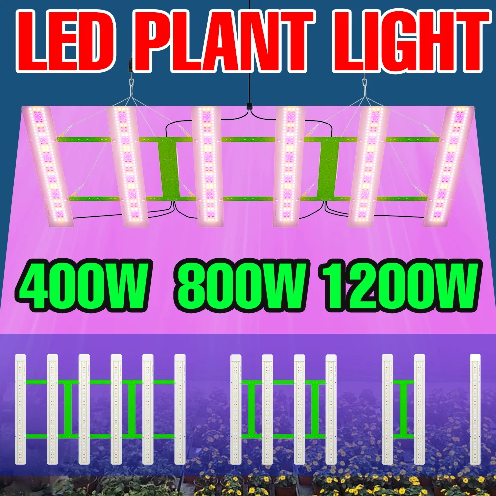 1200W LED Plant Grow Light Full Spectrum 100-277V Quantum Board Seeding Fill Lamp UV/IR Greenhouse Fruit Vegs Cultivation Lamps