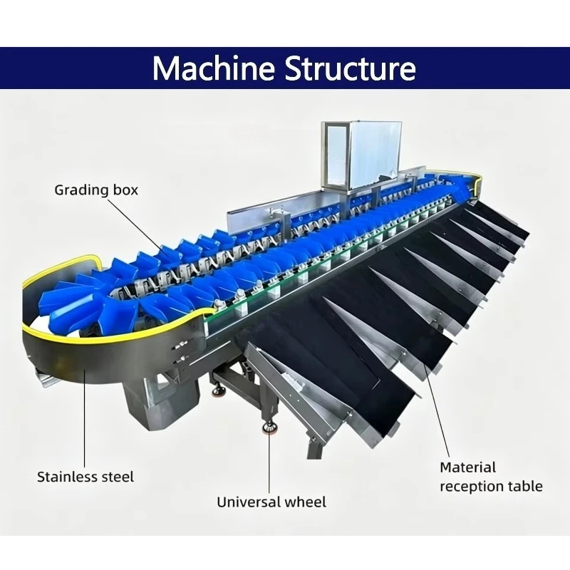 Durable Industrial Vegetable Sorting Grader