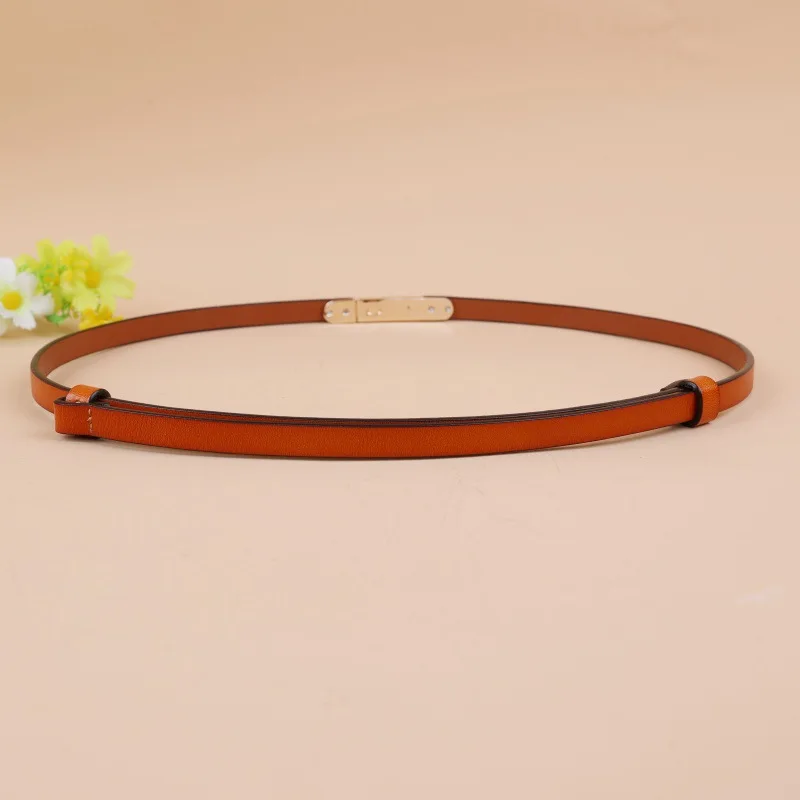 Cinturones, vestidos, suéteres, trajes y camisas de moda para mujer con cinturones finos, cinturones pequeños decorativos y versátiles.