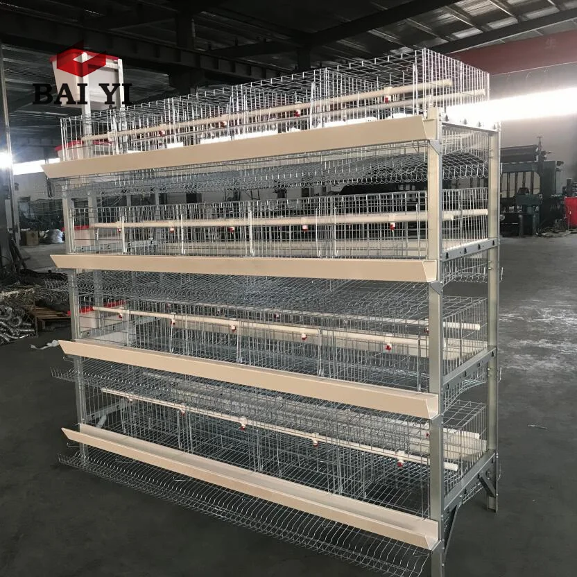 Battery Cages For Poultry Chicken Layer H Type