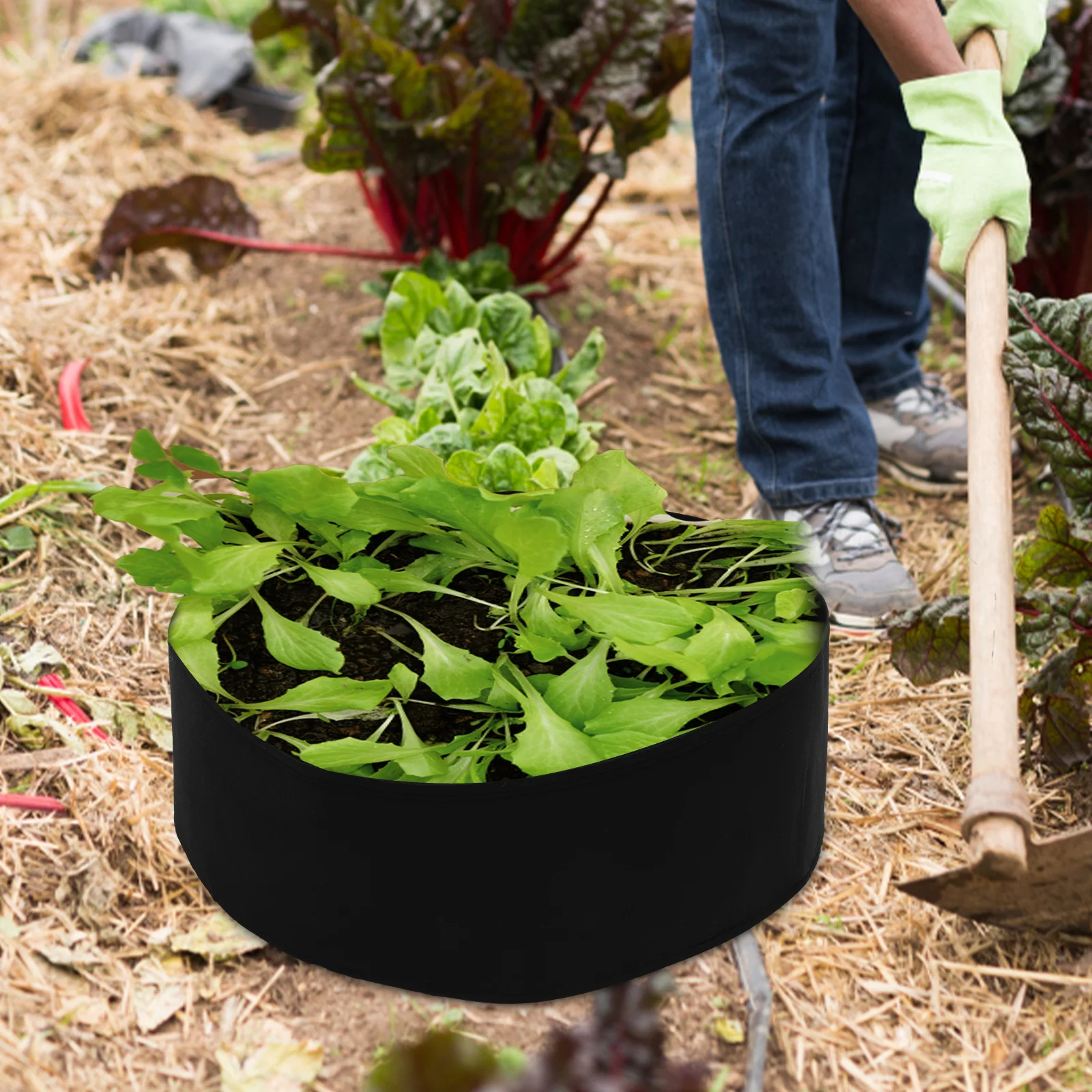 

2 Pcs Planter Felt Planting Bags Pots for Plants Breathable Nutrition Growing Black