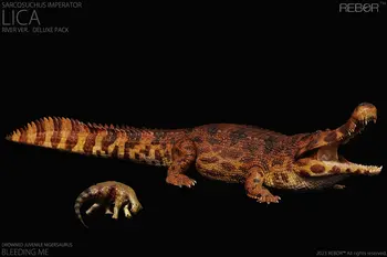 10 最佳銷售 雷博爾恐龍 - №3