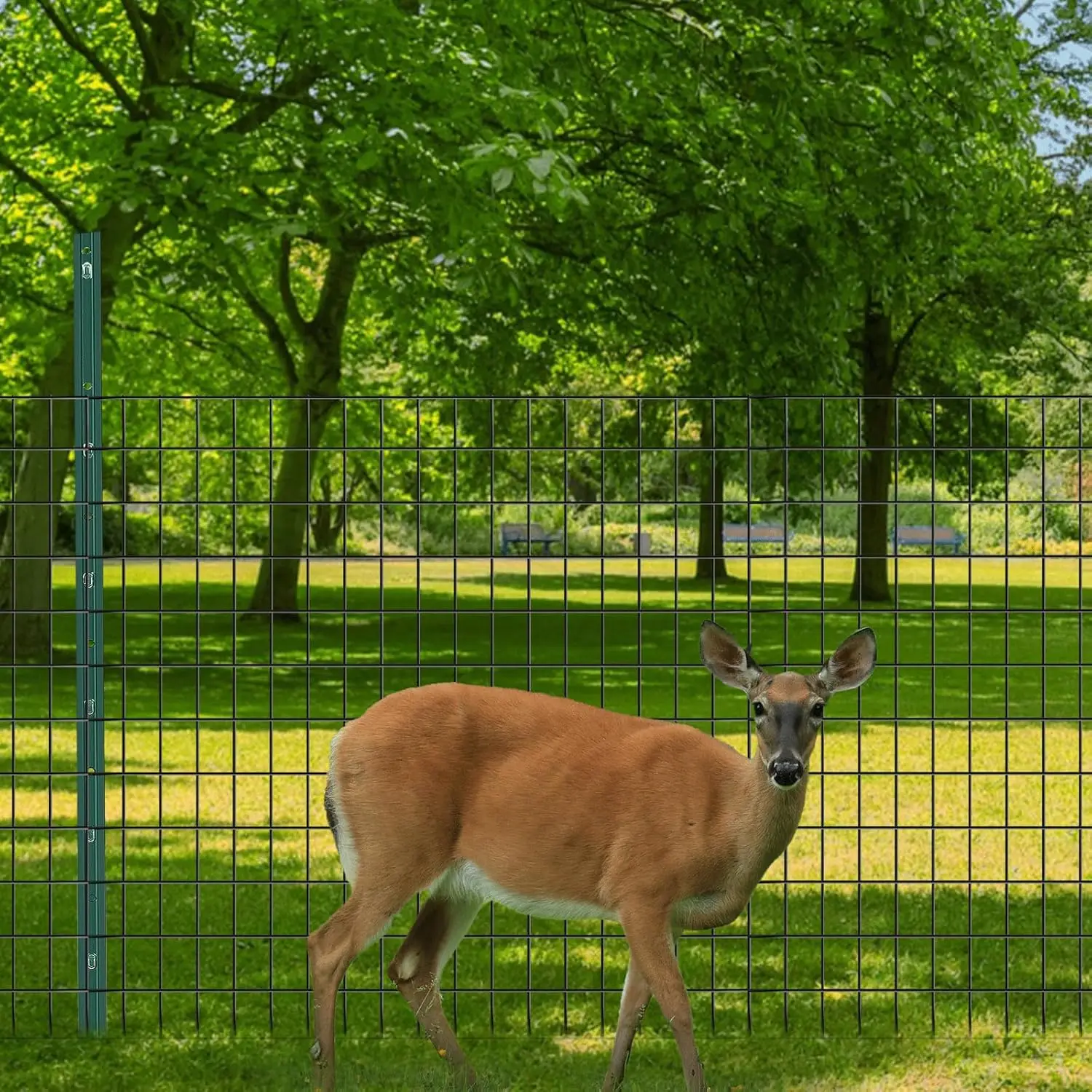 Recinzione in filo metallico saldato rivestito in PVC da 50 piedi x 48 pollici per giardino, cane, pollo - Rete metallica antiruggine