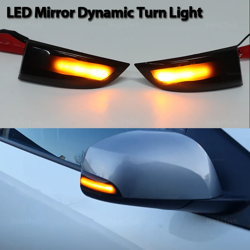 Dynamic Black LED Turn Signal Light Rearview Mirror Light For Renault Scenic Megane Laguna Fluence Latitude Safrane MK3 Samsung