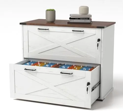 2 Drawer File Cabinet with Lock, Home Office Filing Organizer, for Letter Legal A4 Size File Folder Storage, Modern