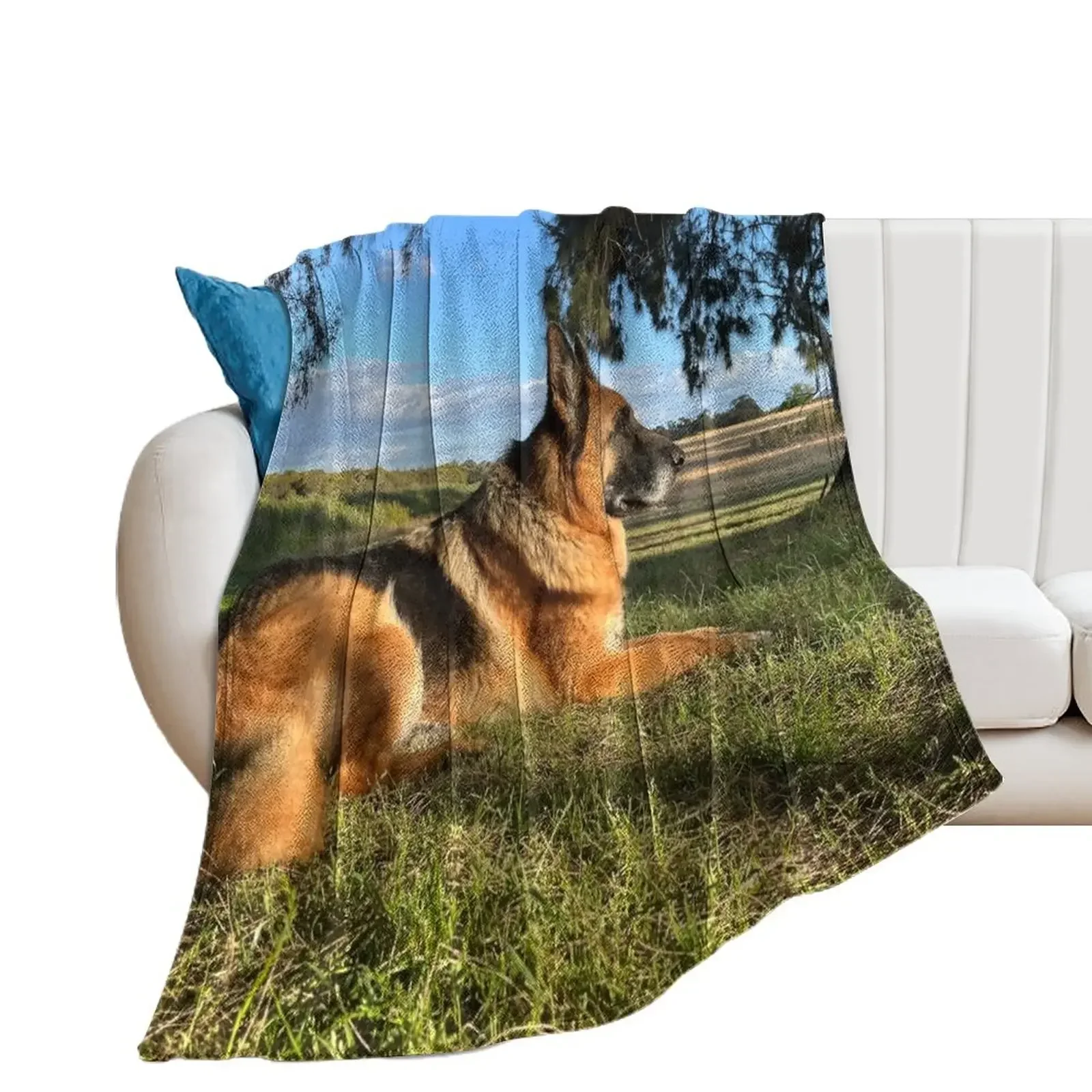 

Shepherd in the Sun Throw Blanket Decorative Sofas Flannel christmas gifts Polar Blankets