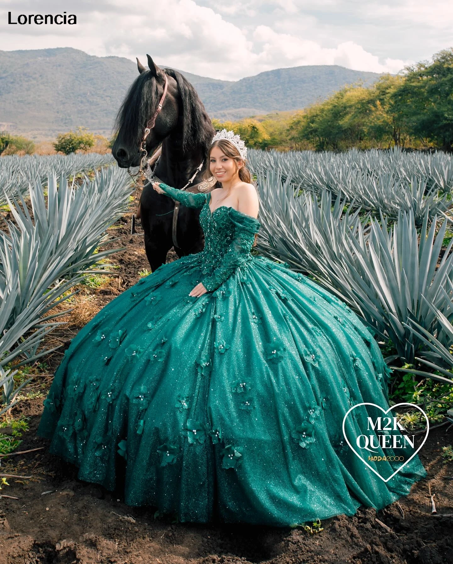 Customized Mexican Green Quinceanera Dress Ball Gown 3D Flowers Applique Beading Long Sleeve Sweet 16 Vestidos De 15 Años YQD889