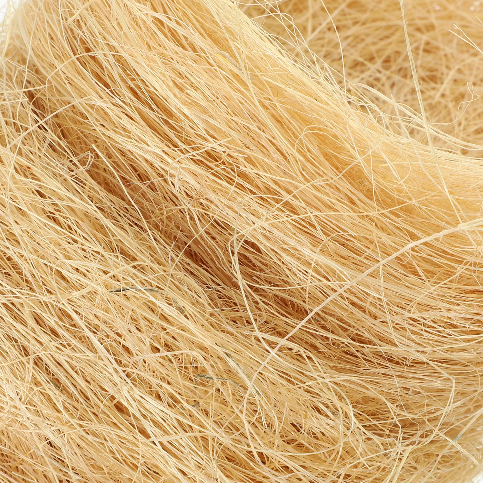 

10pcs Artificial Bird Nest Ornament Rustic Fake Natural Nests For Easter Garden Party Decoration Micro Landscape Craft Moss