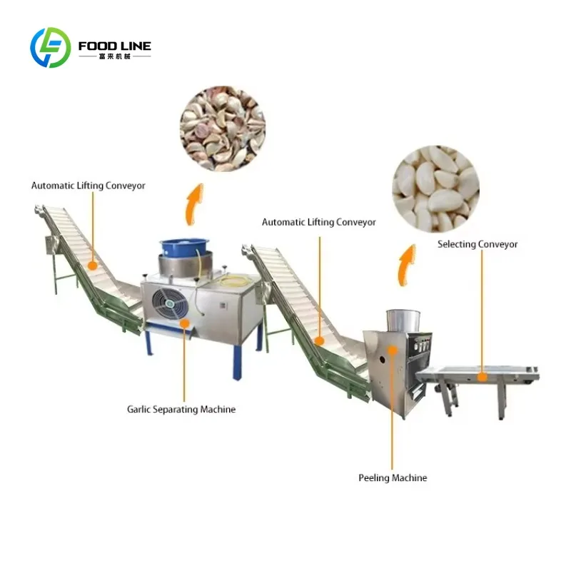 Automatic Garlic Clove Breaking Peeling Line Onion Garlic Powder Production for Industrial Food Factory Custom