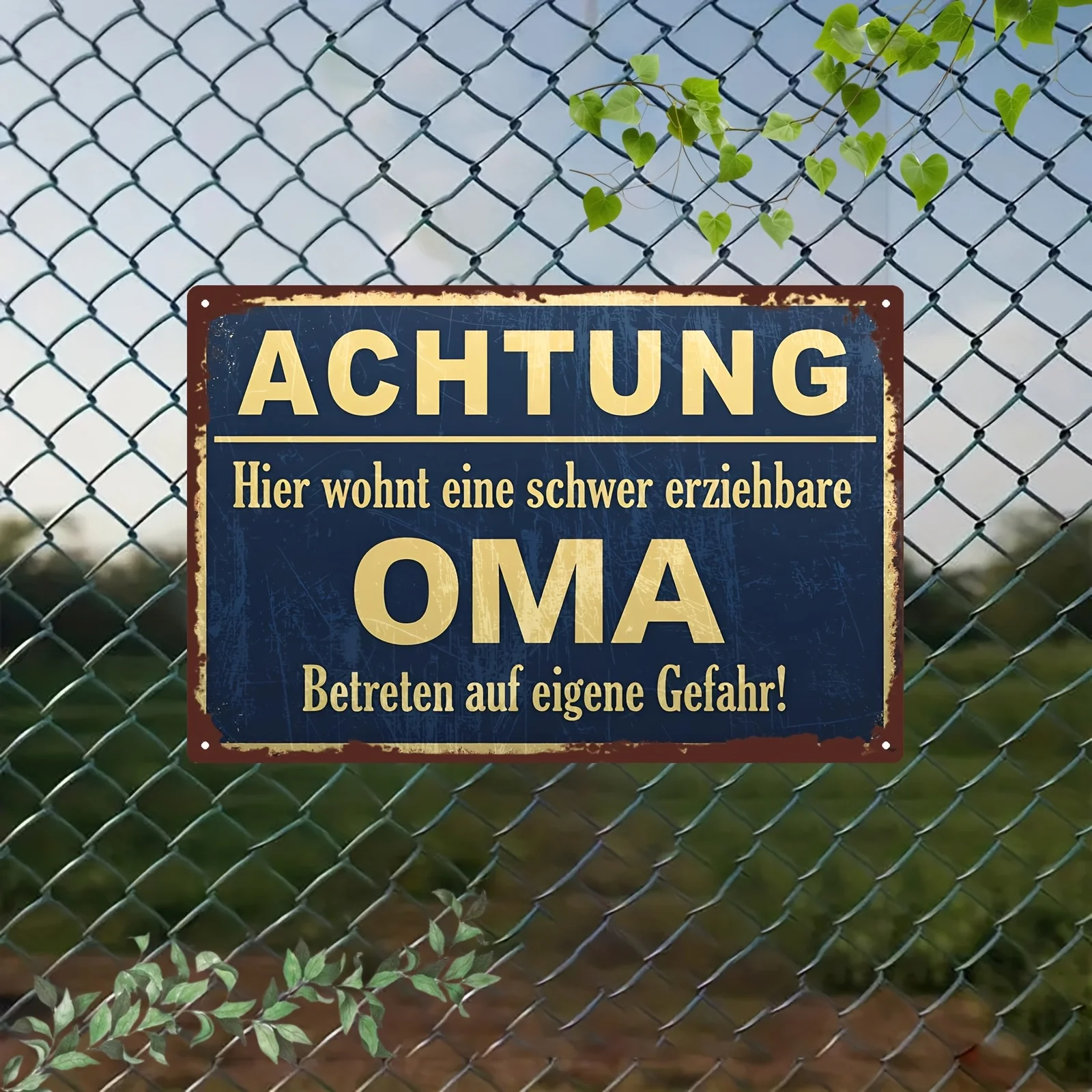 2D Metal Sign 20x30cm 8x12 Inch Aluminum Plate Vintage Blue Gold German Warning Funny Decor for Living Room Kitchen Bedroom