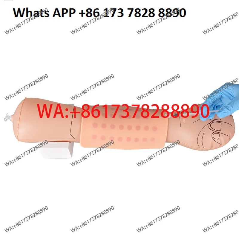 (Maternal and Infant) Surgical Nurse Skin Test Pichu, Intravenous Blood Collection Practice Pichu Inflatable Hand, Model