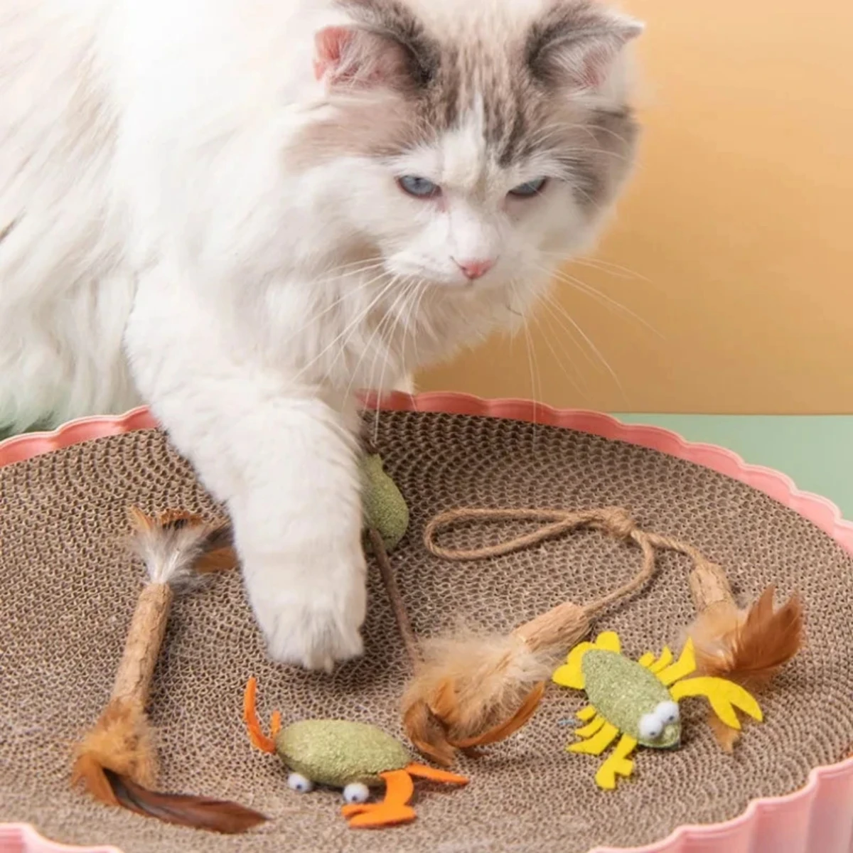 Pet Catnip Toys Cat Mint Ball Edible Catnip Ball Safety Healthy Cat Mint Cats  Chasing Game Toy Products Clean Teeth view 6