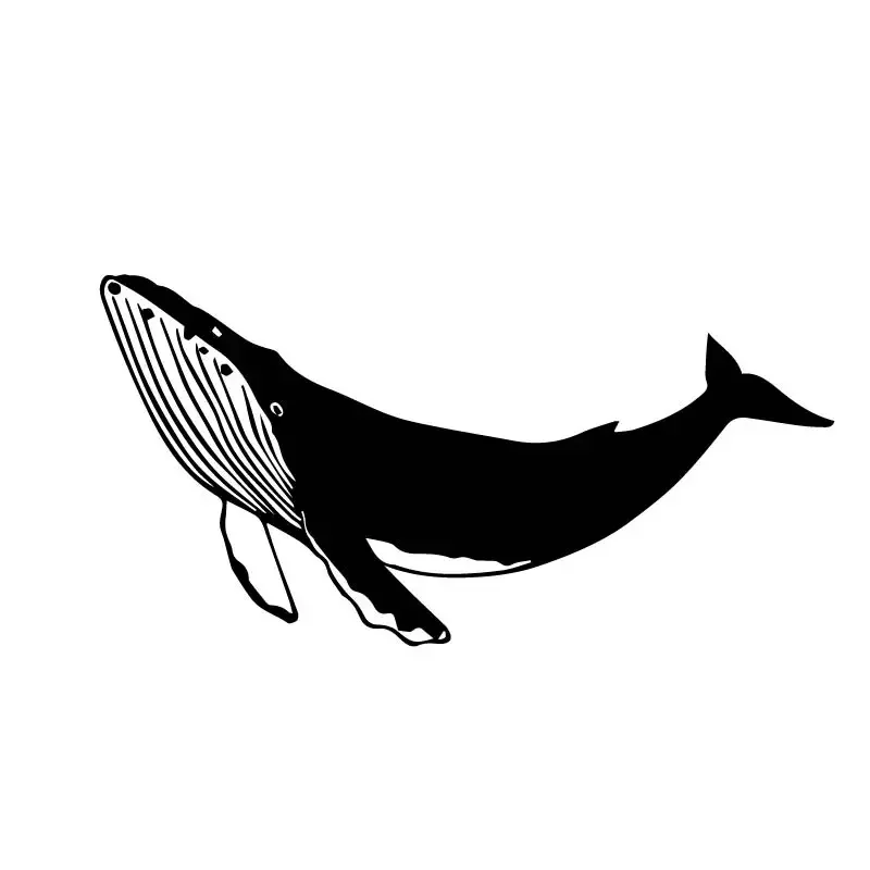 Car Stickers Personality Funny Handsome Whale Pattern Vinyl Decals Motorcycle Bumper Body Rear Window Decorative PVC,20cm