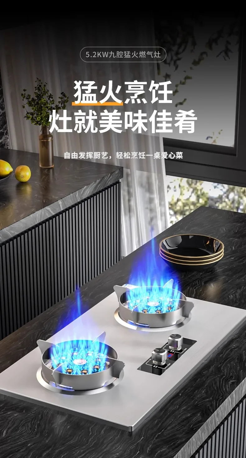 Royalstar Gas Stove Double Burner Built-in Desktop Natural Gas LPG High Power Cooker