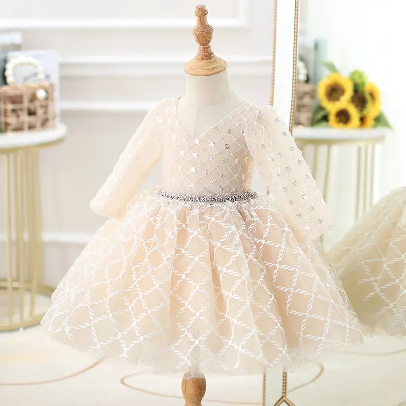 

Children's dress princess dress foreign style flower girl wedding tutu skirt girl birthday model catwalk host trailing