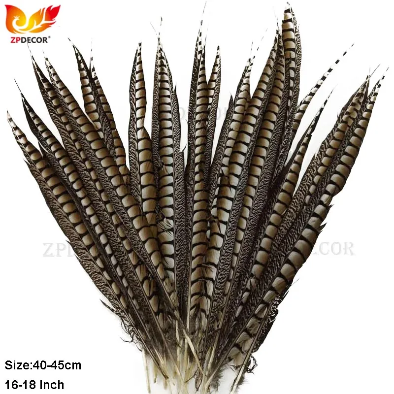 ZPDECOR 40-45cm 16-18 Inch Lady Amherst Tail pheasant Feathers