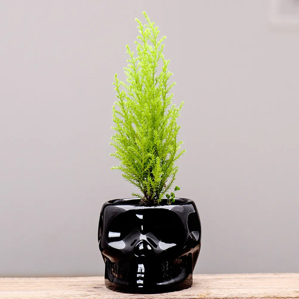 1Pcs Premium Ceramic Skull Planter for Succulents Cacti Small Flowers Minimalist Halloween Decor Home Office Desk Table Window