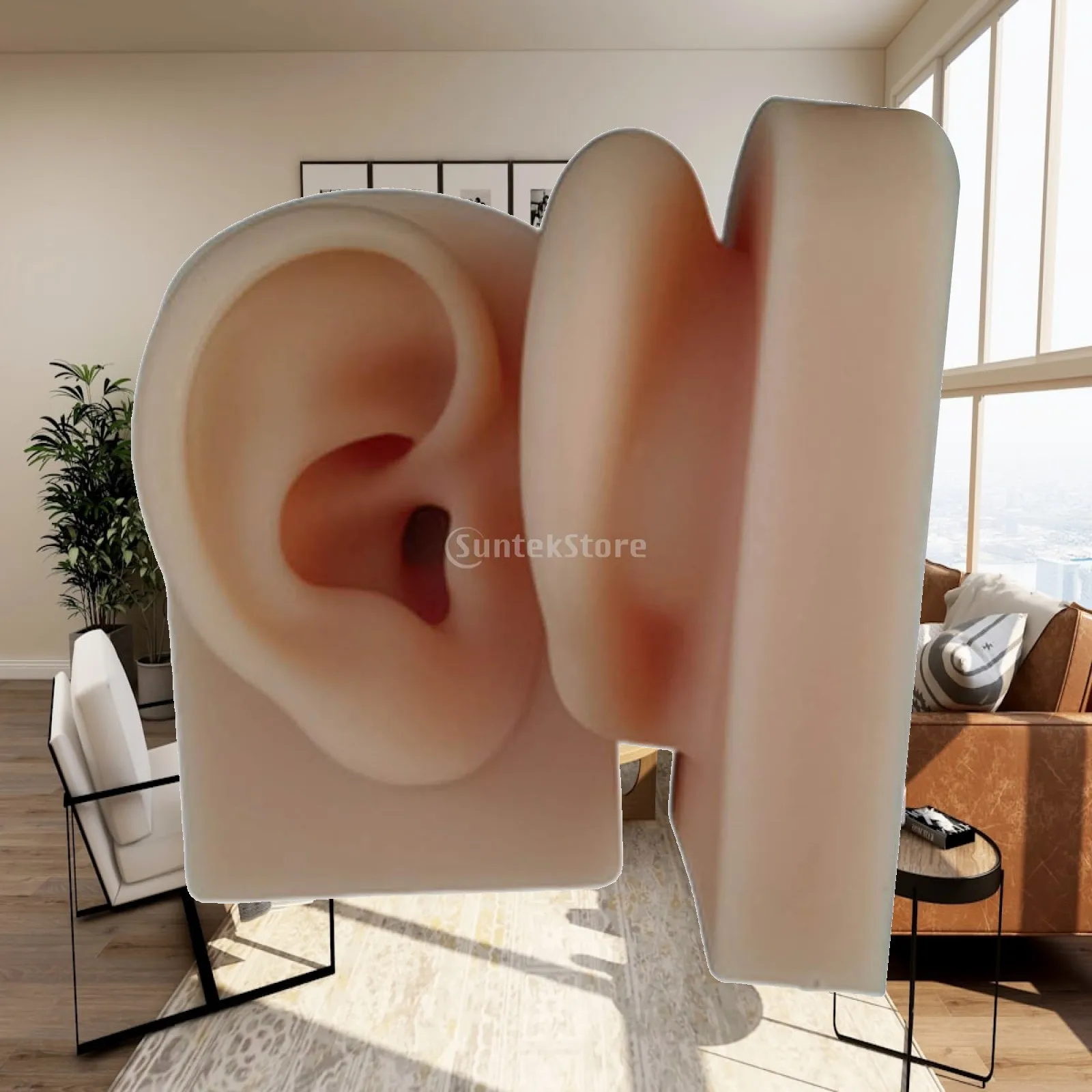 Natural Size Human Ear Model Flexible Silicone Mold for Piercing Practice Jewelry Display Anatomy Teaching