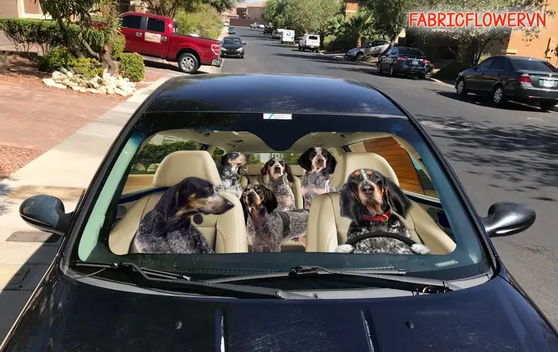 Bluetick Coonhound Car Sunshade, Bluetick Coonhound Car Decoration, Dog Windshield, Dog Lovers, Dog Car Sunshade, Gift For Mom,