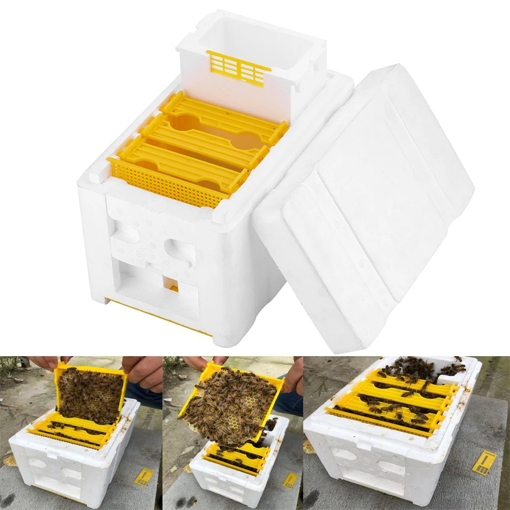 

Bee Hive Beekeeping King Box Pollination Box Foam Frames Beekeeping Tool Kit Harvest Bee Hive Case for Garden Pollination