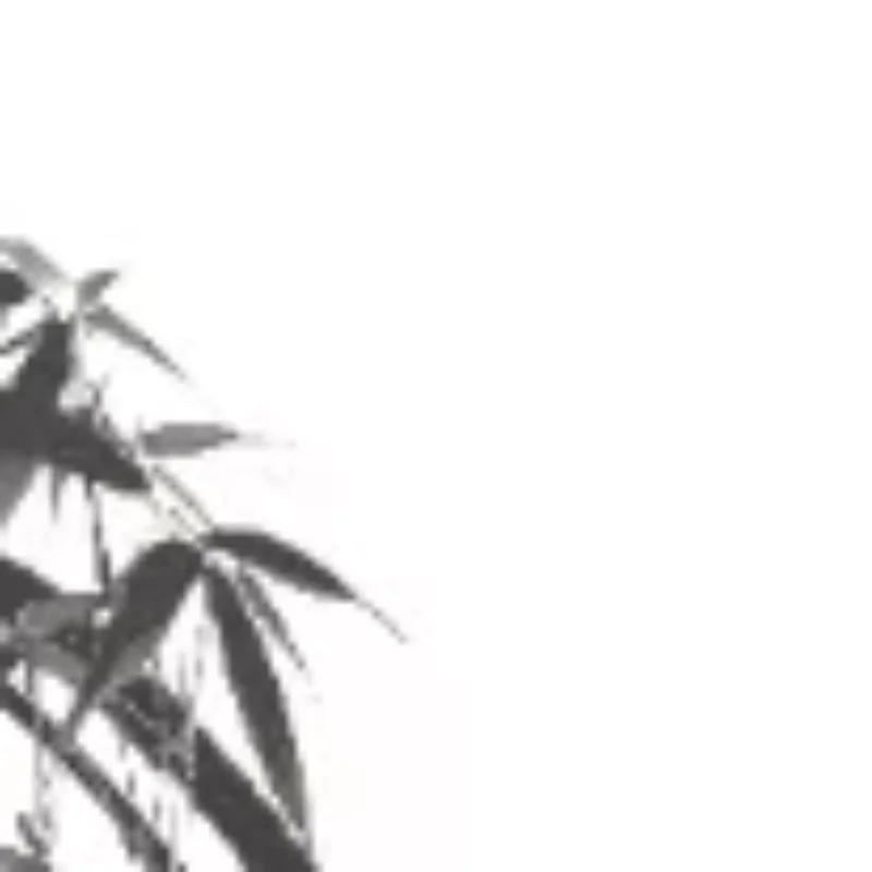 Electric Clippers P…