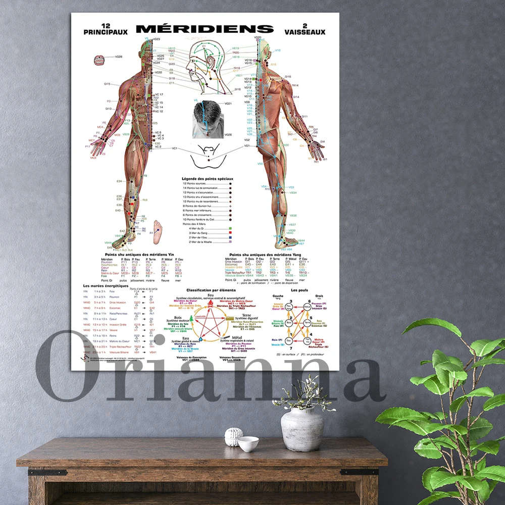 Chinese Meridians Canvas Painting Home Decor Anatomy Of Human Body Modular Picture Modern Printed Poster Wall Art