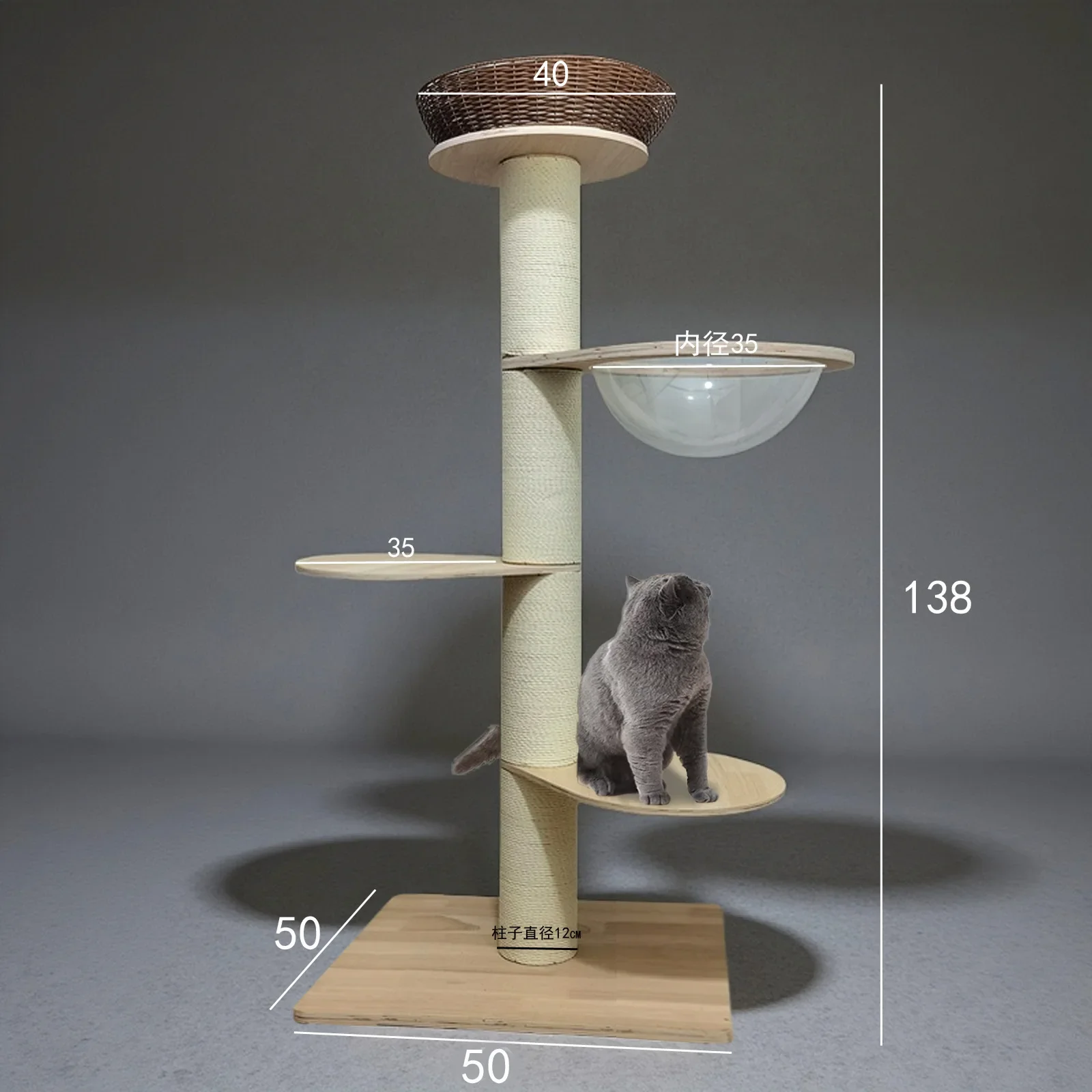 Capsule spatiale pour cadre d'escalade pour chat en bois massif