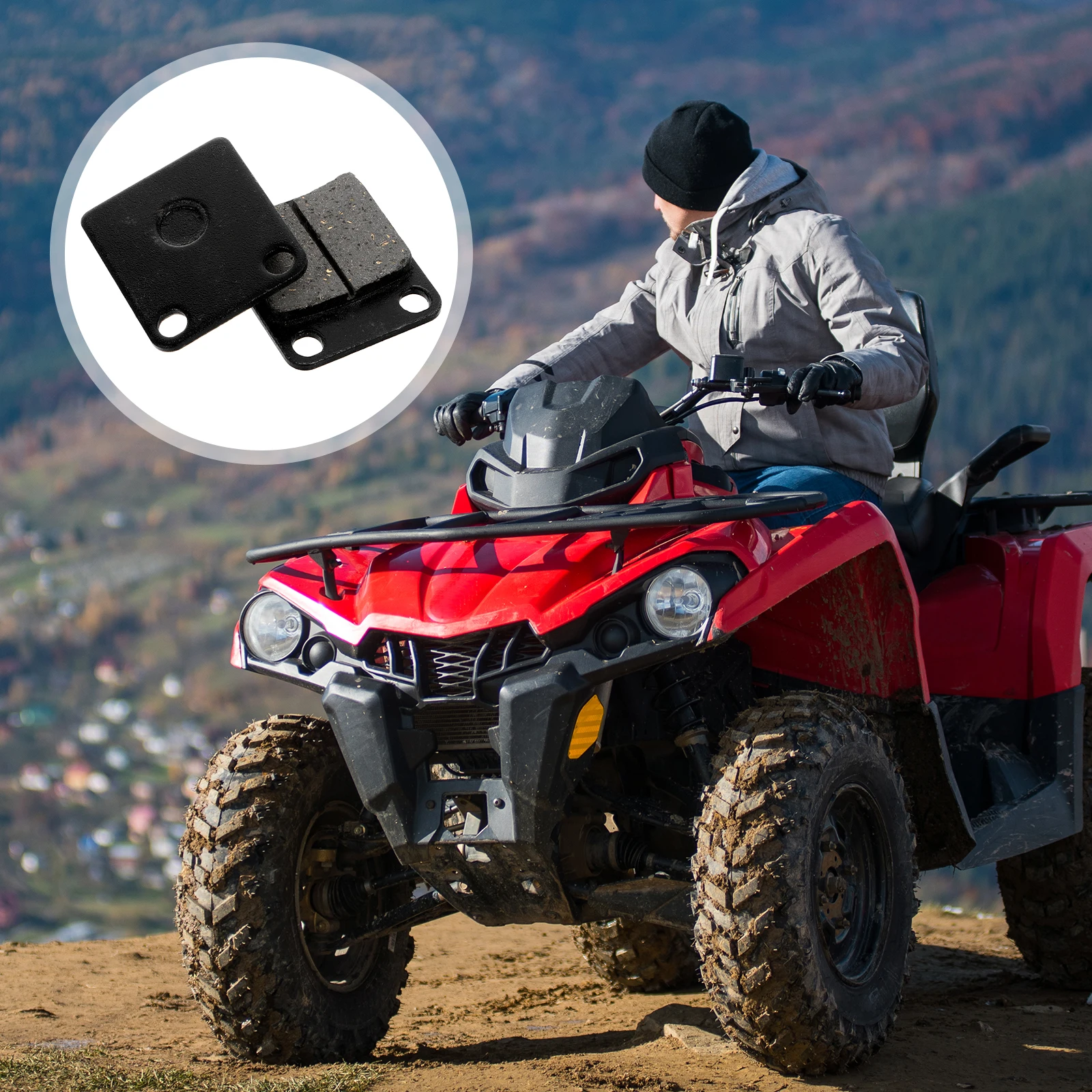 Рисунок 5 - Набор тормозных колодок для квадроцикла