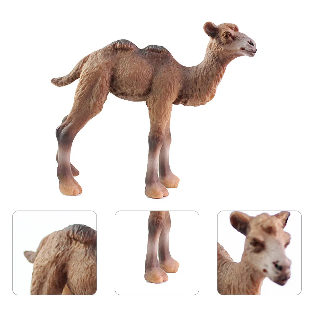 Delicada Escultura de Camello, Decoración Animal Realista, Tamaño Pequeño, para Hogar, Oficina, Gabinete, Guardería, Regalo Educativo, Historia Natural