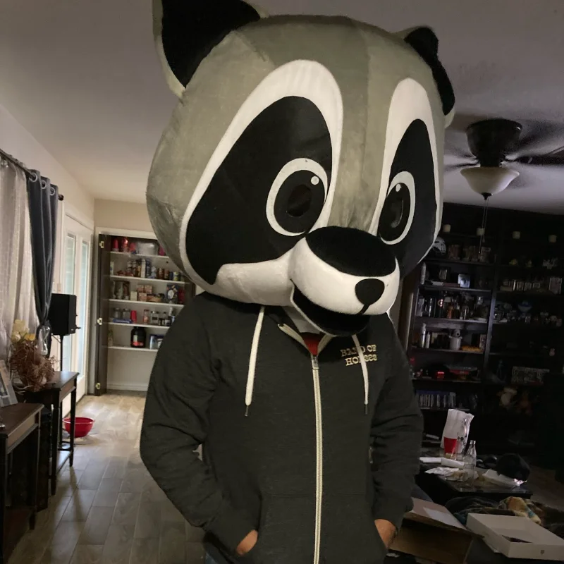 Costume de mascotte de dessin animé de raton laveur, olympiques de cosplay en fourrure, robe de jeu de fête, tenues de carnaval, Halloween, Noël, annonce de Pâques