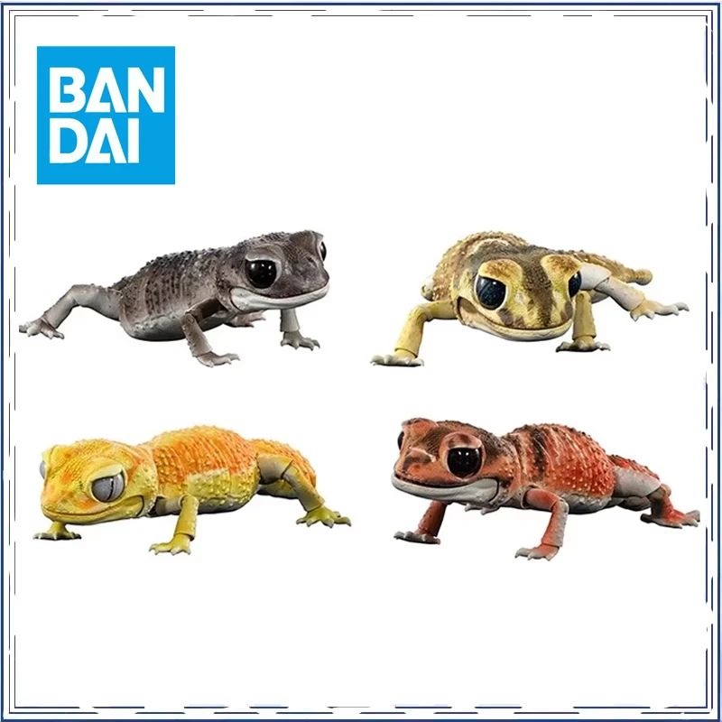 

【IN SHELF】BANDAI Anime Biological Encyclopedia Lizard GASHAPON Gifts for Children Genuine Action Figure Model Toys