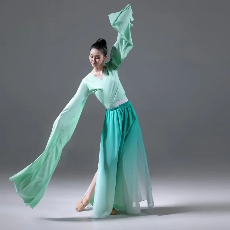 Chinese Classic Yangko Dance Costume National Folk Dancewear Woman Water Sleeve Stage Performance Outfit Hanfu Dance Clothing