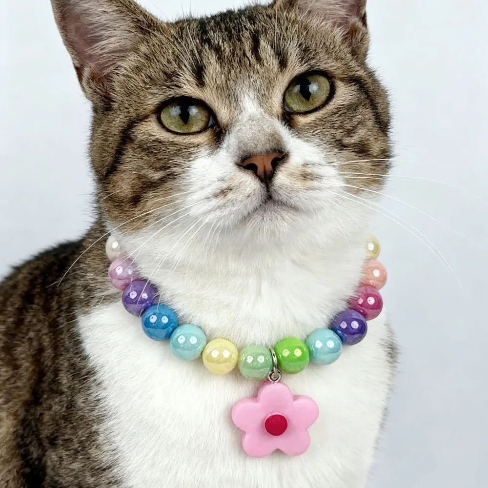 

Cute Adjustable Beaded Cat Elastic Candy Color Cat Pet Neck Chain Flower Pendant Pet Jewelry Dog Cat Pet Collar Photo Shoot