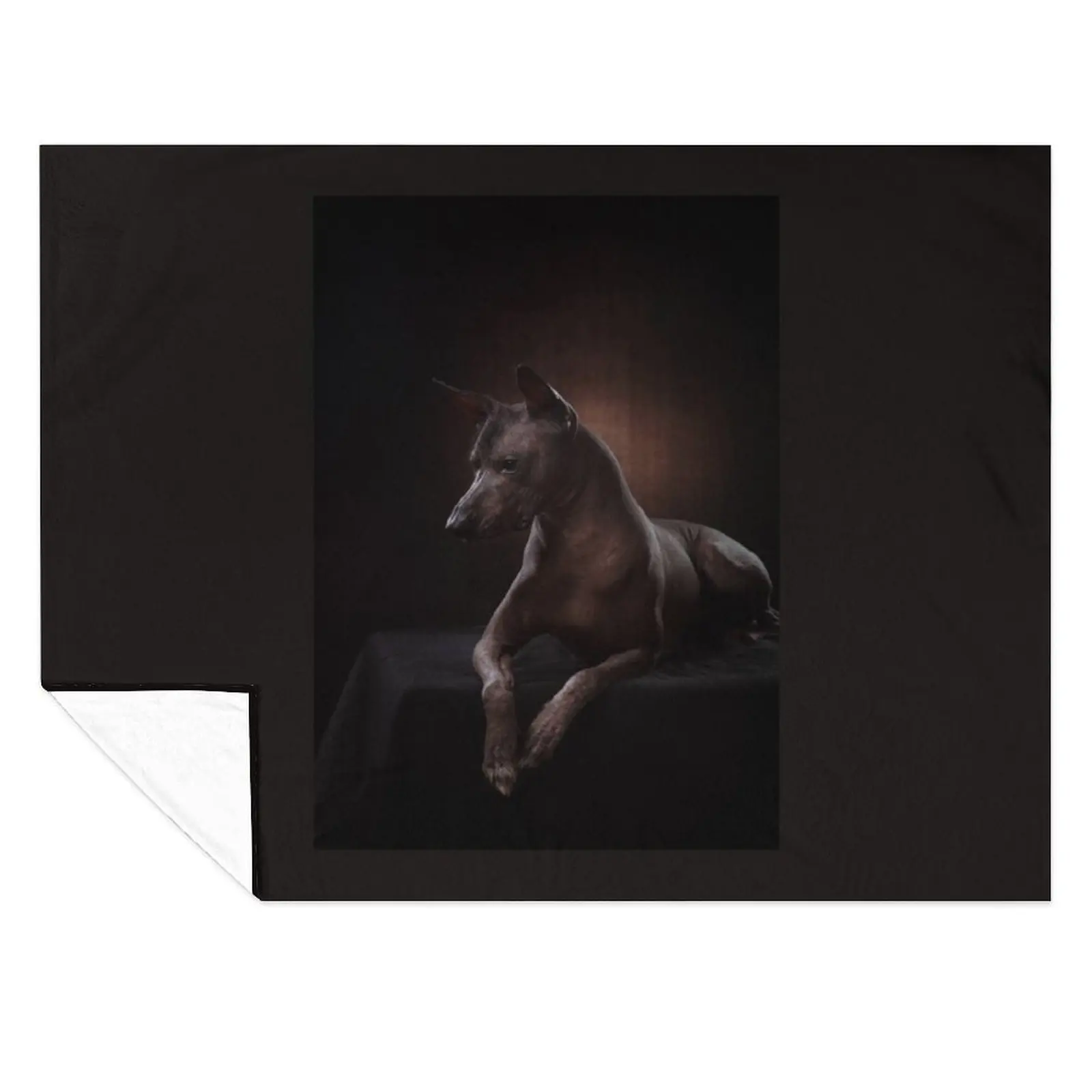 

Xoloitzcuintle Throw Blanket Blankets For Sofas Large Bed covers Blankets