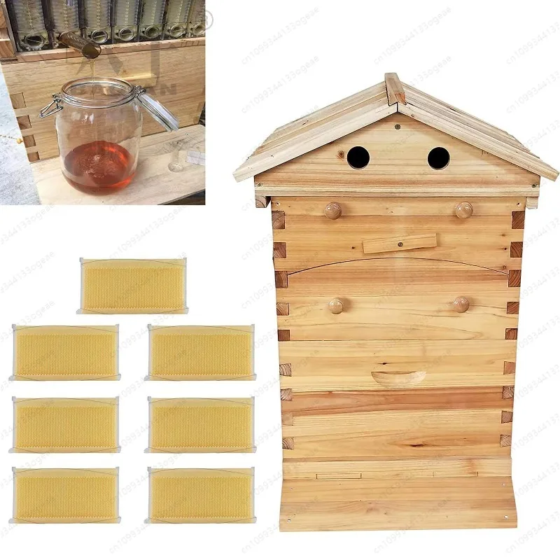 معدات تربية النحل سعر المصنع خلية النحل المتدفقة العسل خلية النحل الأوتوماتيكية الجديدة مع 7 قطعة إطارات خلية النحل التدفق التلقائي