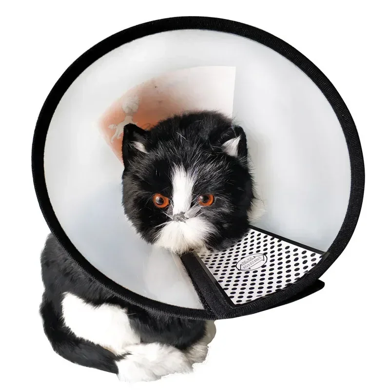 Cute Plastic Cone Pet Products Anti Bite and Scratching Elizabeth Collar for Cats Elizabeth Circle Dog Protection Beauty Healing