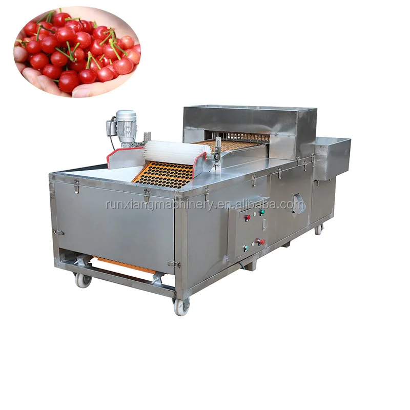 con punzonatura efficiente e conveniente Seminatrice per ciliegie completamente automatica