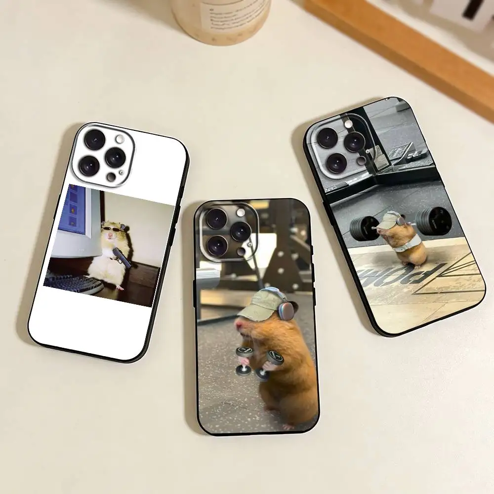 C-Cute Gym Hamster …