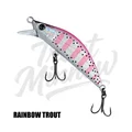 Rainbow Trout