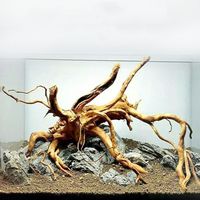 Natural Tree Trunk Aquarium Decoration Wood Artwork Decor Driftwood Branches Landscaping Ornaments Fish Tank Decor Supplies